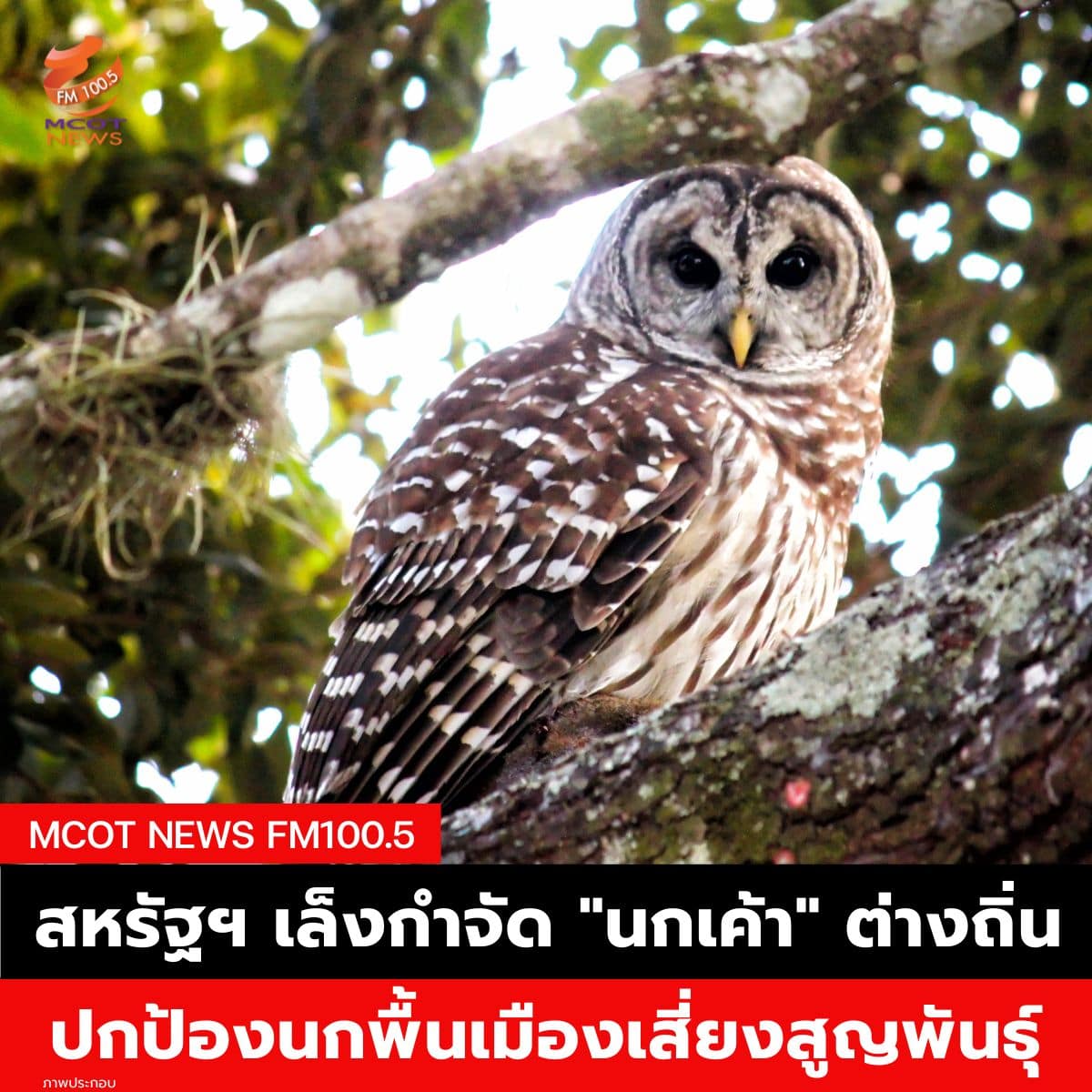 wewy (1)-min