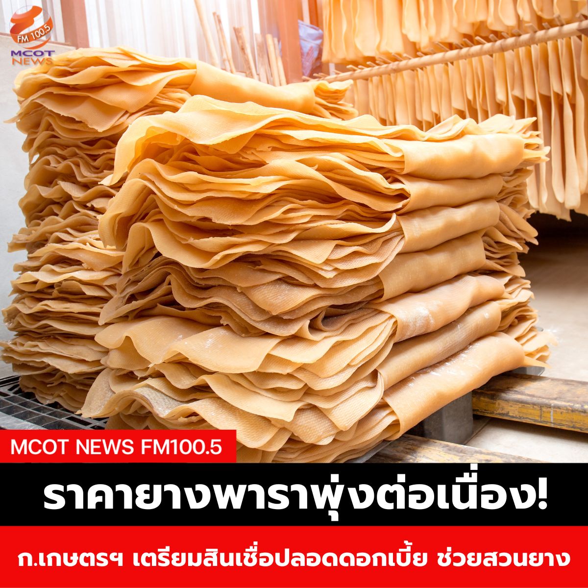 ฟ้า - 2025-05-08T091355.283